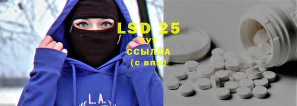 шишки Абаза