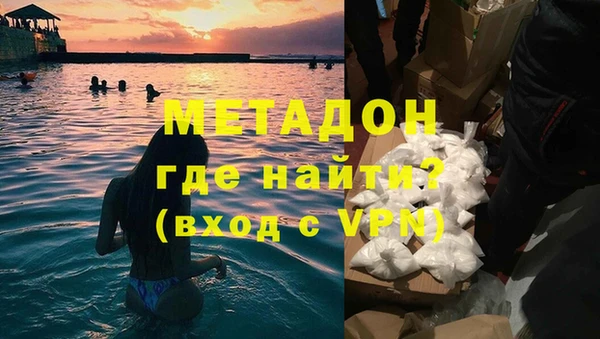 шишки Абаза