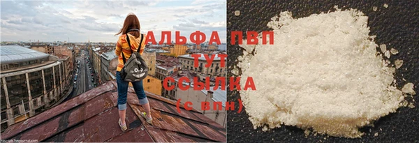 шишки Абаза
