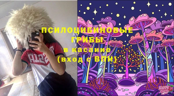 таблы Алзамай