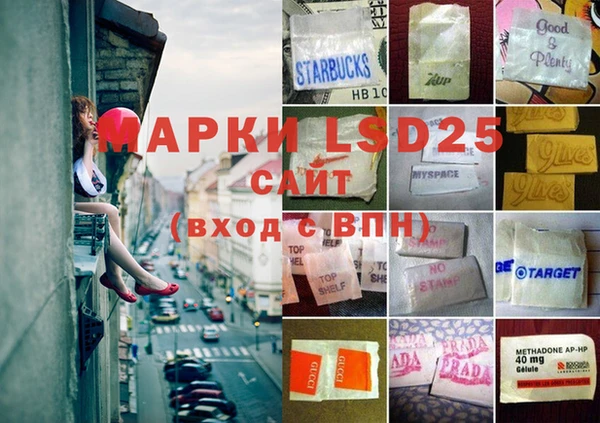 шишки Абаза