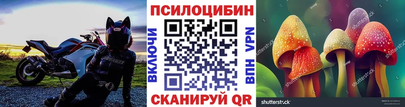 Галлюциногенные грибы ЛСД Гусиноозёрск